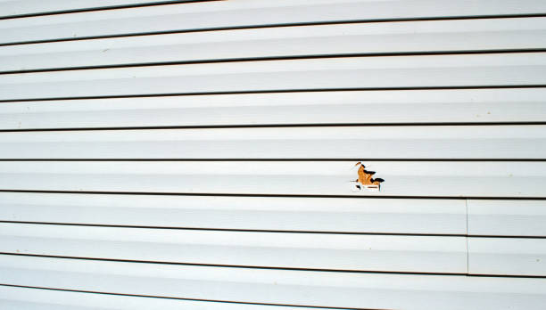 Best Steel Siding Installation  in Coulee Dam, WA