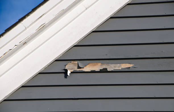 Best Composite Siding  in Coulee Dam, WA